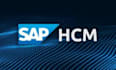 do sap abap development of hcm HR module implementation