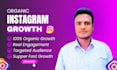 do super fast instagram organic growth, promotion, and marketing