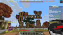 play minecraft with you