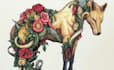 draw an animal and botanical illustration