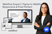 develop webflow website, convert figma to webflow, webflow expert