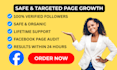 provide safe facebook page promotion with quick result