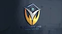 design a trustworthy and professional insurance logo