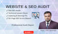 do a professional website and SEO audit with fixes