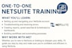 provide consultation and training to netsuite end users