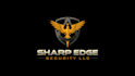 design a professional security logo for your business