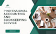 provide professional accounting and bookkeeping service
