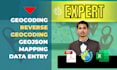 do geocoding, geojson marking and reverse geocoding for you