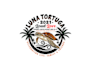 create professional and specially turtle logo design