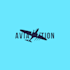 design a professional aviation logo for your brand