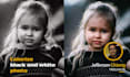 colorize black and white photo