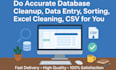 do accurate database cleanup, data entry, sorting, excel cleaning, CSV for you