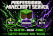 set up and optimize your professional minecraft server