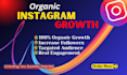 provide organic instagram growth with promotion