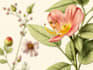 botanical illustration with scientific focus