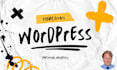 fix wordpress errors, website down, error 500, bugs fast