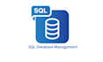 perform data analysis using sql and excel