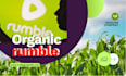do organic promotion, rumble views, rumble followers, rumble monetization