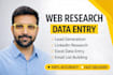 do web research and data entry services