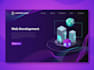 develop a custom saas web application for any organization or business