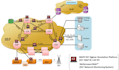 set up ss7 to sip with yate for legal lab testing only