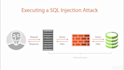 fix security vulnerabilities sqli, XSS csrf, sql injection,malware,botnet