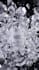 create dynamic fluid simulation vfx animation 3d water simulation 3d simulation
