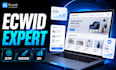 be your ecwid expert for store setup, redesign and customization