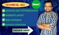 fix technical SEO issues, website audit, and optimize site perfomance