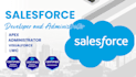 be your saleforce developer and administrator