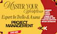 set up trello and asana boards, automations, and integrations