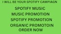 be yourr spotify campaign