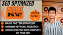 professional content writing and SEO blog articles