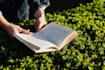 write english literature,essay, book summary, critique, review, evaluation