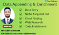 do data enrichment, data entry and b2b lead generation