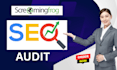 do a complete technical SEO audit with screaming frog