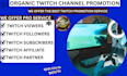 boost twitch live viewers, twitch channel promotion