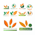 design a professional eco and green logo