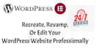 recreate, revamp, or edit your wordpress website professionally