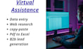 do data entry, web research,b2b lead generation and email collection