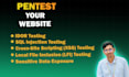 pentest your website for security weaknesses