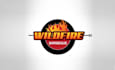 design creative outstanding wild fire logo