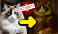 create a majestic royal pet portrait in baroque