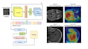 do image classification project using deep learning