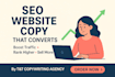 write professional SEO website copy for your business