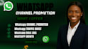 grow whatsapp followers, 50k whatsapp channel, member whatsapp members bulk sms