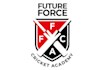 create a high quality cricket logo design