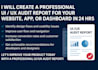 create a UI UX audit report for your website app or dashboard in 24