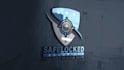 design a professional security logo for your business
