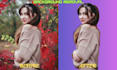 use ai precision to remove backgrounds and objects